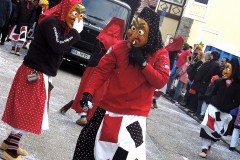DSCN0512