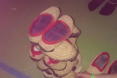 IMG-20160208-WA0017