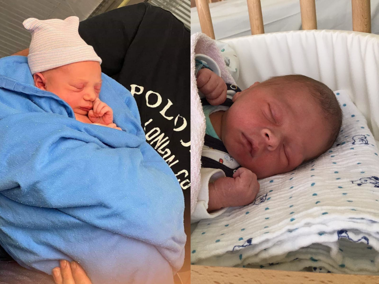 Nachwuchs bei den Tannenhexen