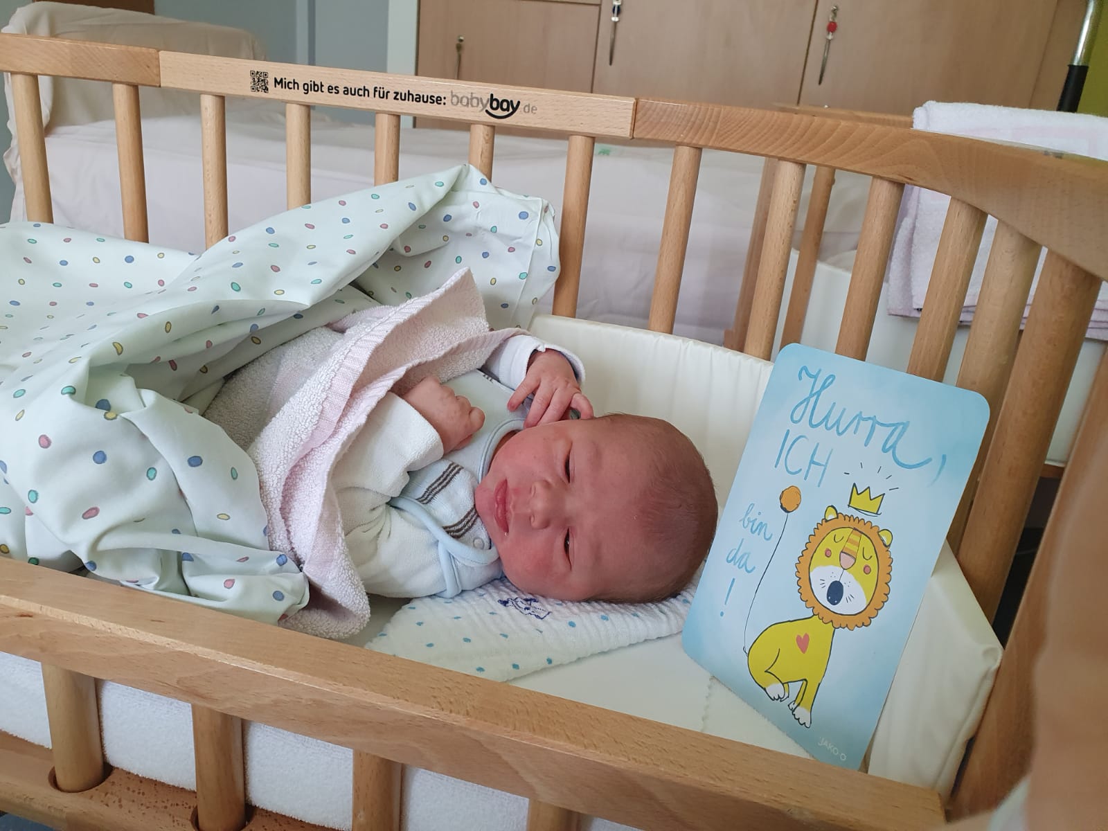 Nachwuchs bei den Tannenhexen